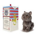 Freddy le Brittish Shorthair assis en boîte cadeau - 17cm