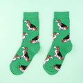 Chaussettes Coucou Suzette