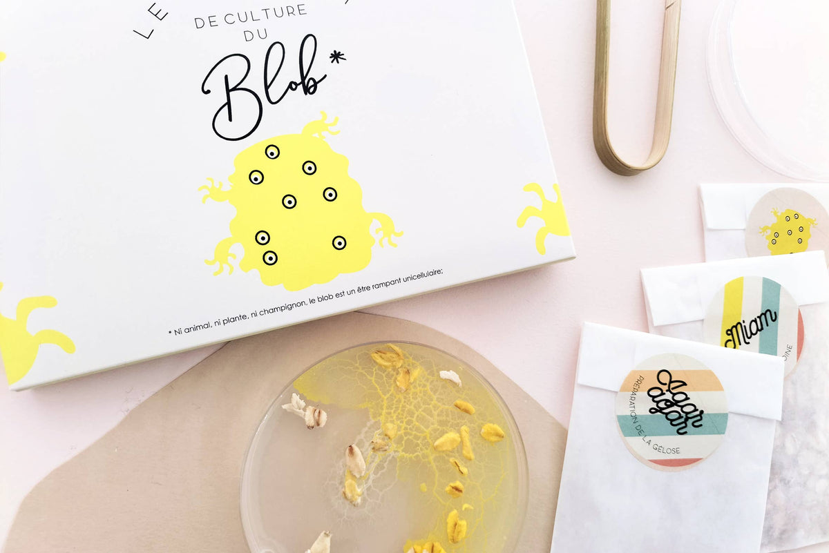 Kit de culture pour Blob