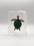 Ludi Soap – Tortue