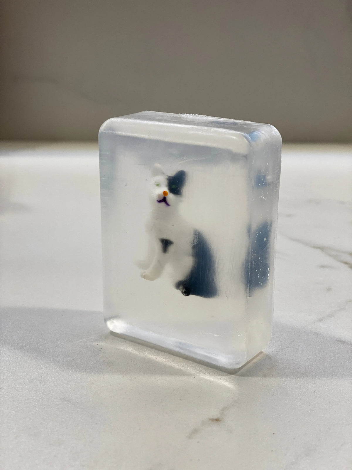 Ludi Soap – Chat