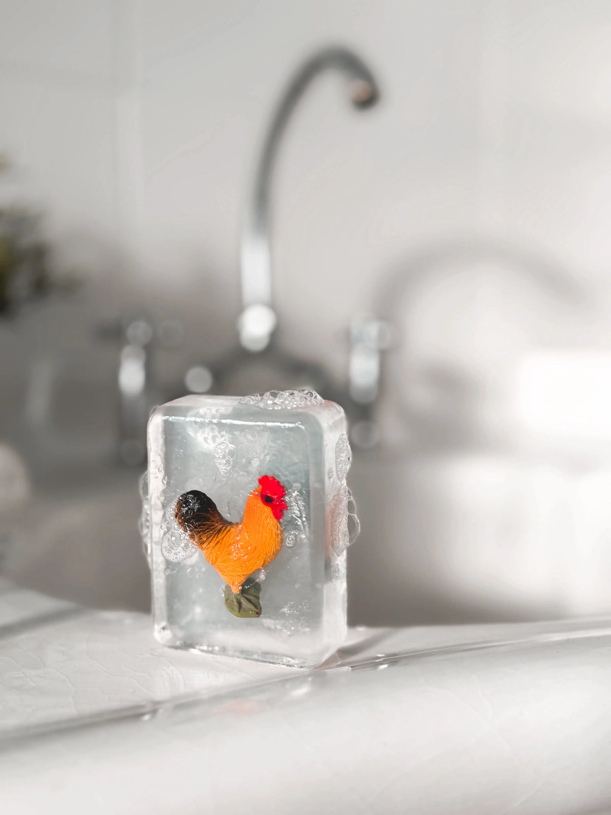 Ludi Soap – Coq