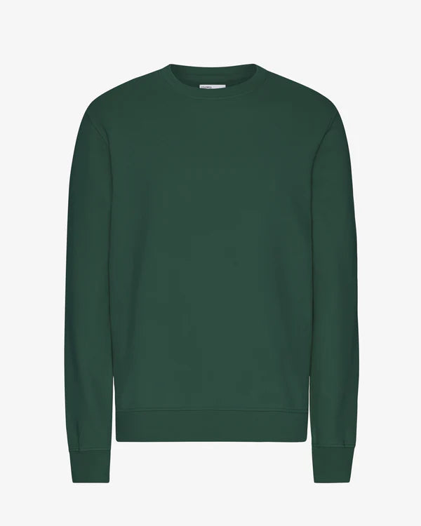 SWEAT COTON BIO COLORFUL STANDARD