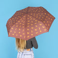 PARAPLUIES BALVI