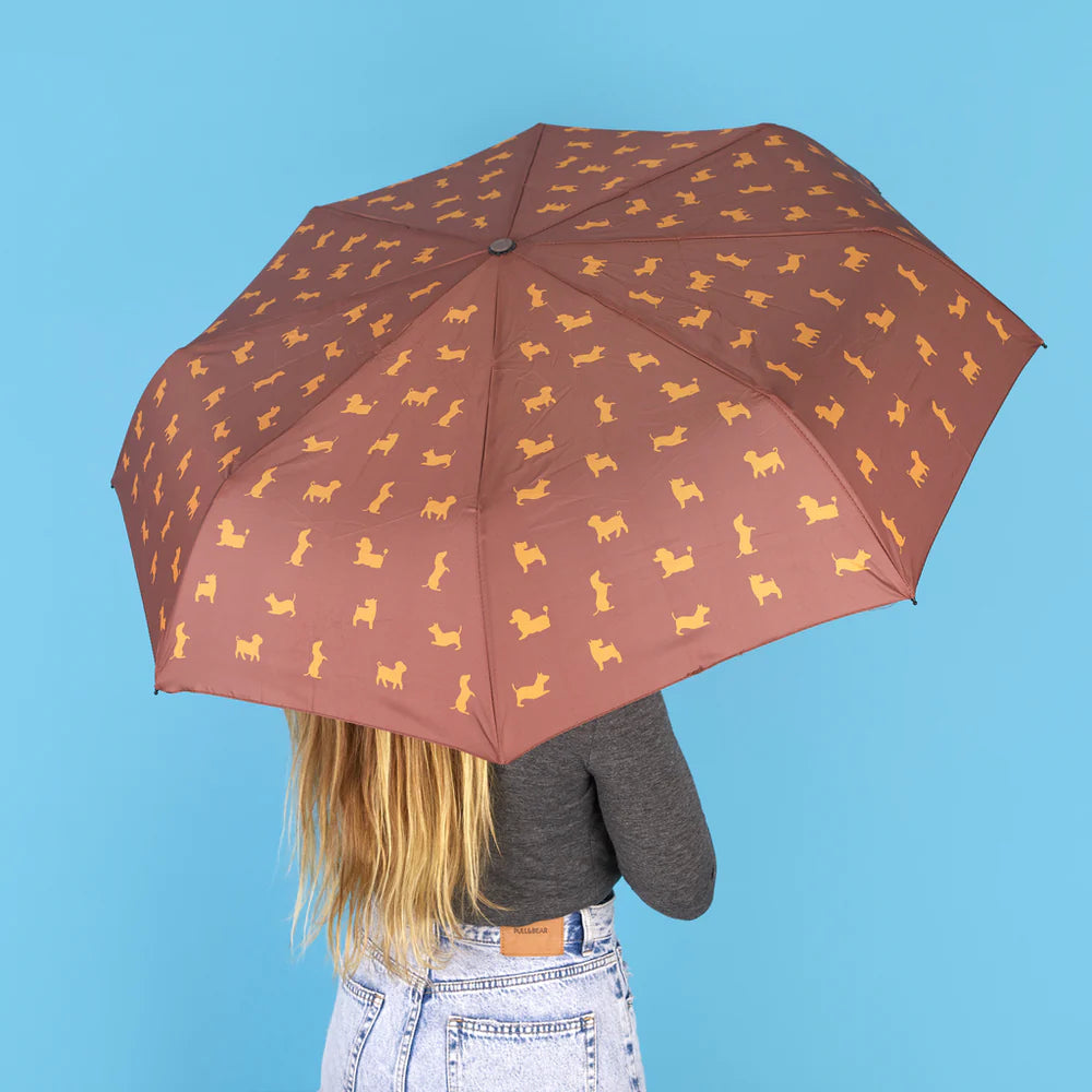 PARAPLUIES BALVI