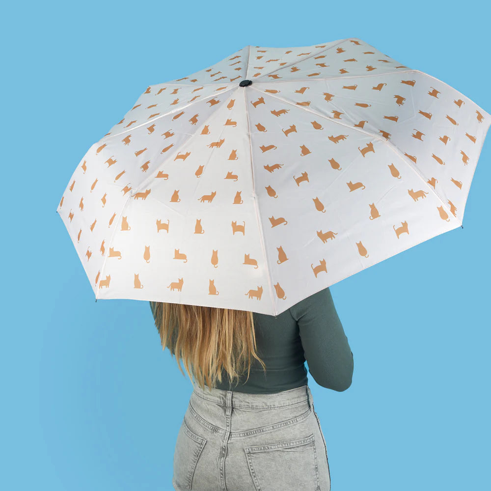 PARAPLUIES BALVI