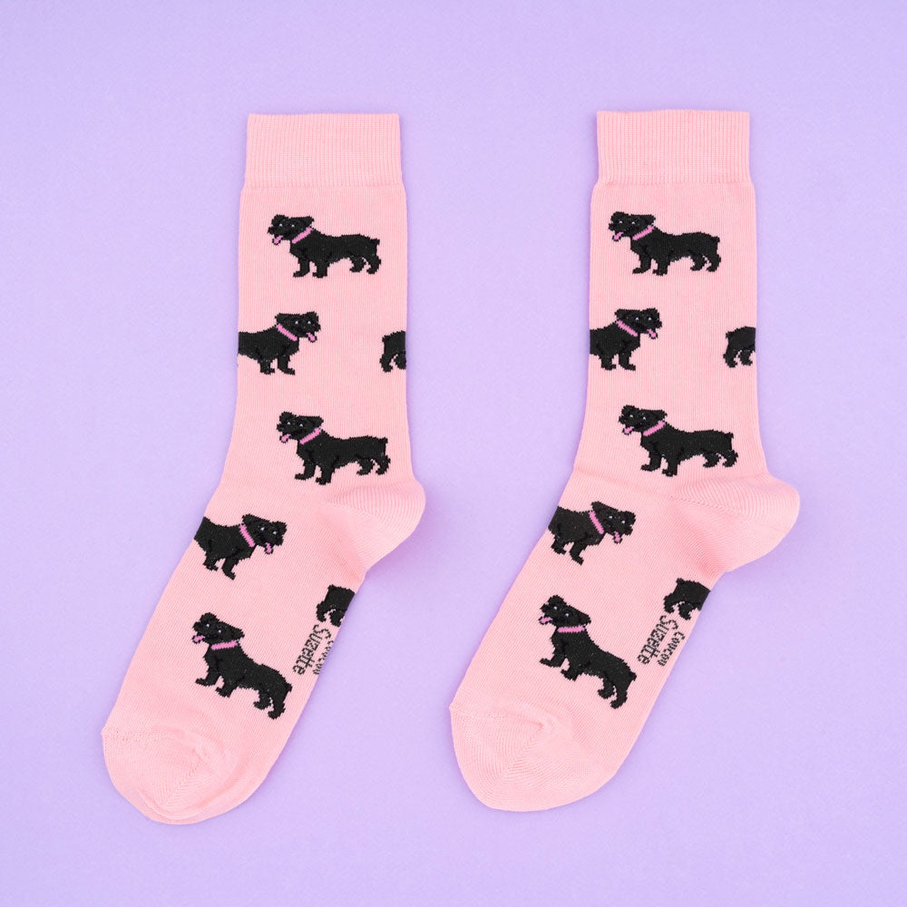 Chaussettes Staffie – Coucou Suzette