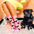 Chaussettes Coucou Suzette