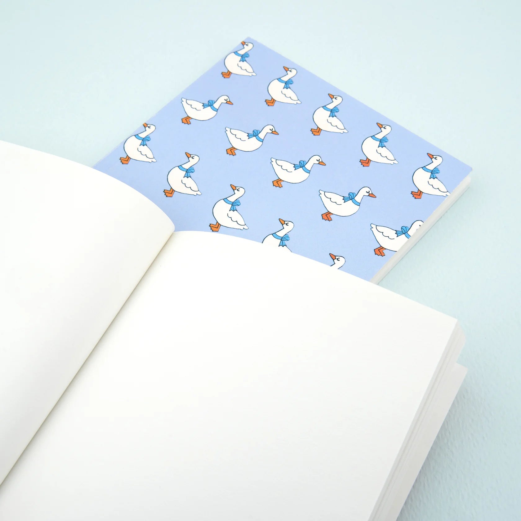 Carnets Coucou Suzette